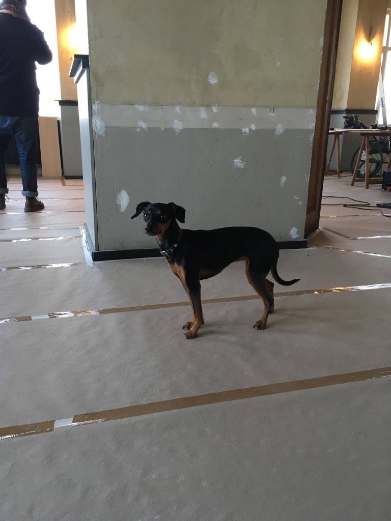 16735546_10209441064078539_842016247_o