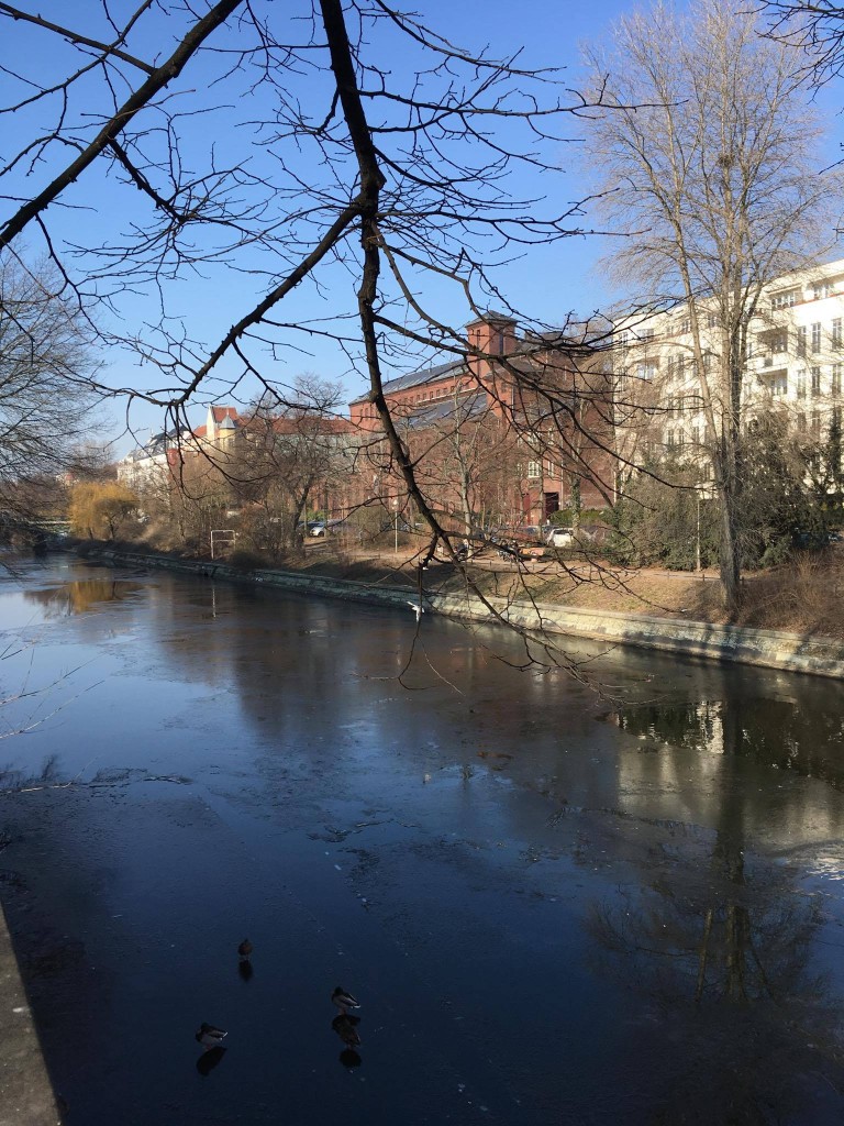 16763673_10209433299244423_2146155950_o